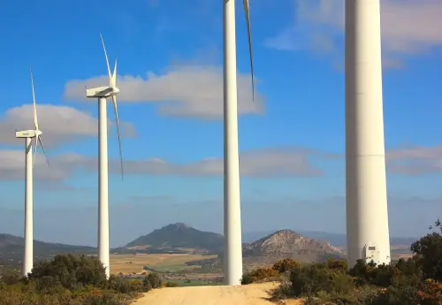 5-Altiplano-de-Almansa-Caudete08