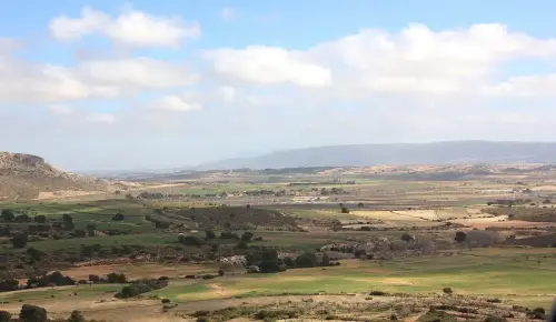 5-Altiplano-de-Almansa-Caudete09