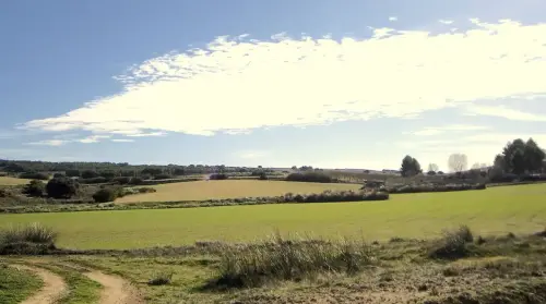 5-Altiplano-de-Almansa-Caudete10