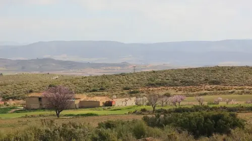 5-Altiplano-de-Almansa-Caudete11