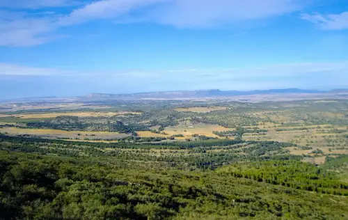 5-Altiplano-de-Almansa-Caudete12