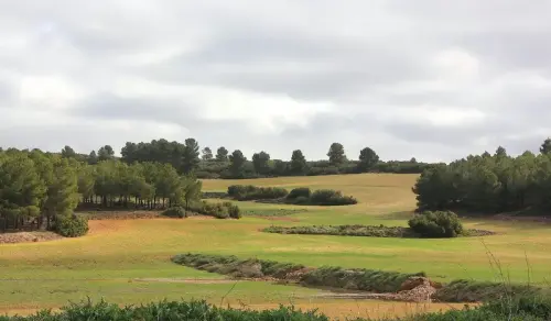 5-Altiplano-de-Almansa-Caudete14