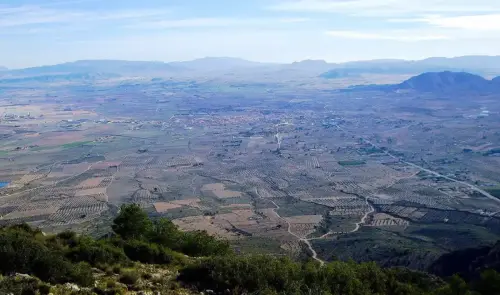 5-Altiplano-de-Almansa-Caudete16-Desde-Santa-Barbara