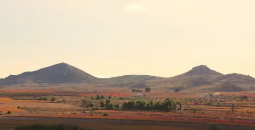 5-Altiplano-de-Almansa-Montealegre-del-Castillo05