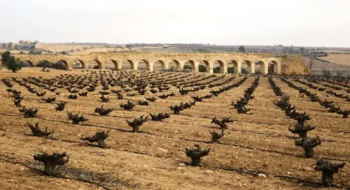 5-Altiplano-de-Almansa-Montealegre-del-Castillo06