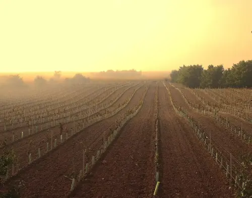 5-Altiplano-de-Almansa-Montealegre-del-Castillo11