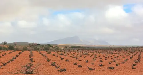 5-Altiplano-de-Almansa-Montealegre-del-Castillo12