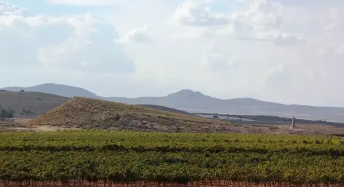 5-Altiplano-de-Almansa-Montealegre-del-Castillo13-Cerro-de-Los-SantosYac.arqueologico