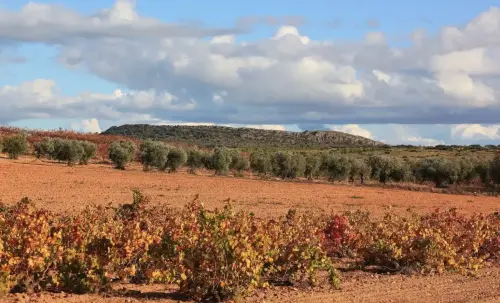 5-Altiplano-de-Almansa-Montealegre-del-Castillo14