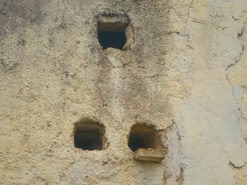 Palomares-Aguas-Saladas-Elche-de-la-Sierra