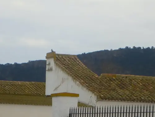 Palomares-Casa-Vieja-del-Rincon-Hellin