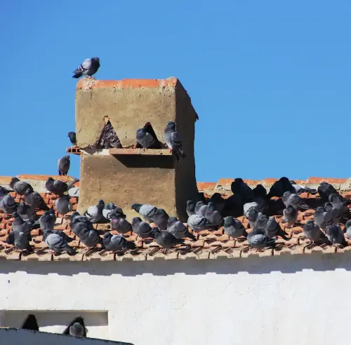 Palomares-Casablanca-Lietor