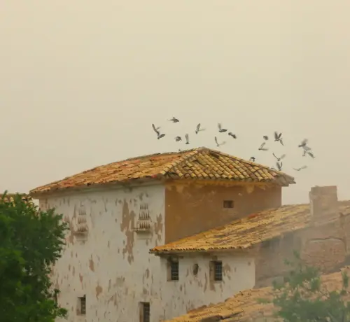 Palomares-Casas-del-Puerto-Tobarra