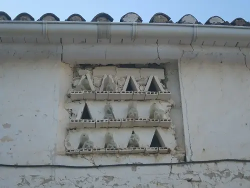 Palomares-Collado-de-Bogarra-Elche-de-la-Sierra