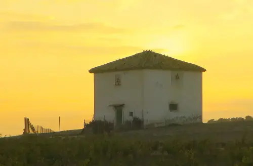 Palomares-El-Puerto2-Tobarra