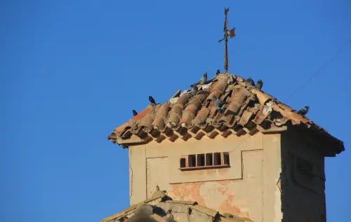 Palomares-Judarra-de-los-Parras2-Hellin