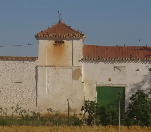 Palomares-La-Grajuela4-La-Gineta