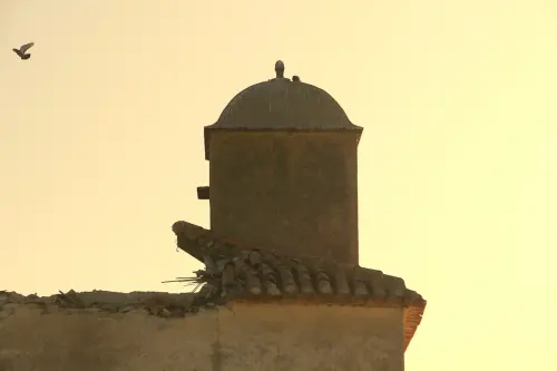 Palomares-Los-Ruices-Chinchilla2