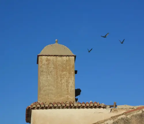 Palomares-Los-Ruices-Chinchilla3