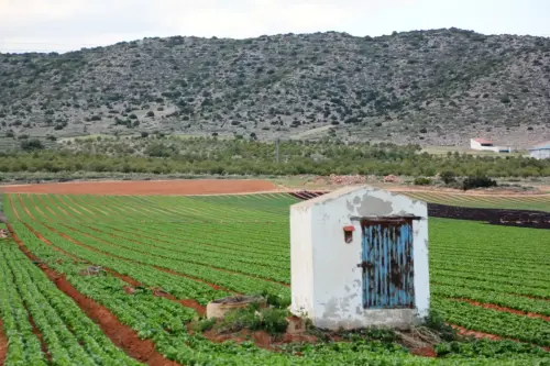 Pozos-Campillo-de-las-Doblas-Pozohondo