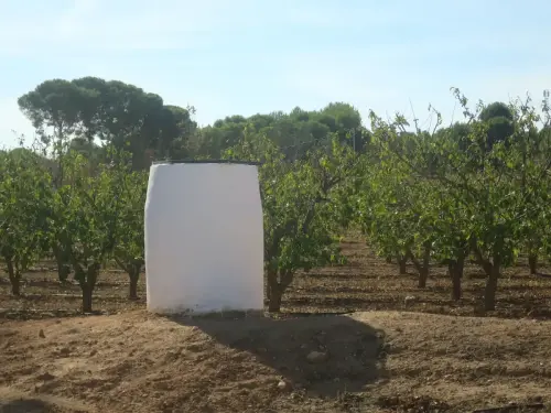 Pozos-Canada-de-Agra-Hellin