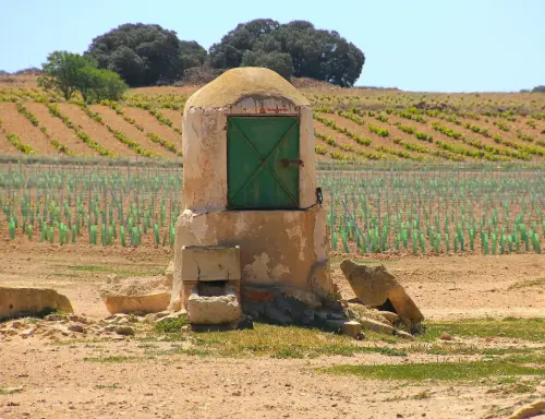 Pozos-Casa-ColoraAlmansa