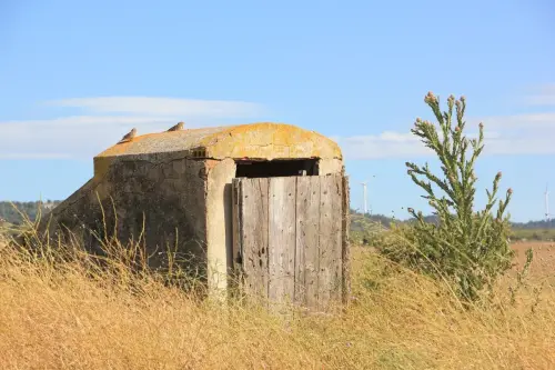 Pozos-Casa-Nueva-Chinchilla