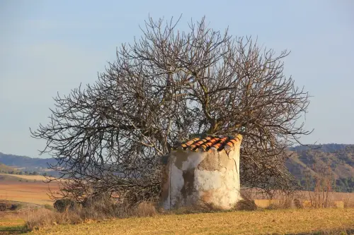 Pozos-Casa-de-Los-Hitos-Tobarra