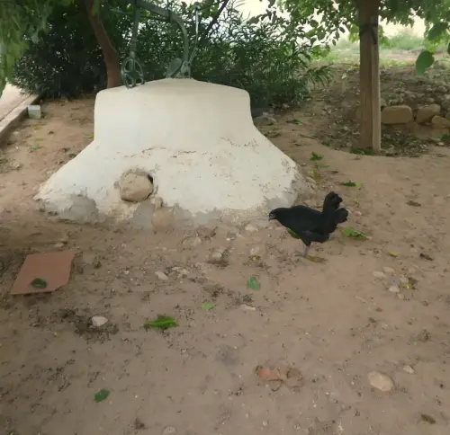 Pozos-Casa-de-las-Monjas-Albacete