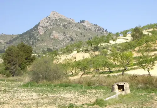 Pozos-El-Entredicho-de-Abajo-Elche-de-la-Sierra