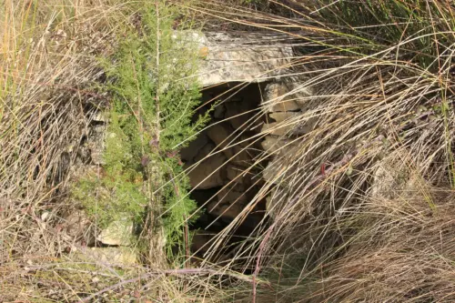 Pozos-El-Fontanar-Molinicos