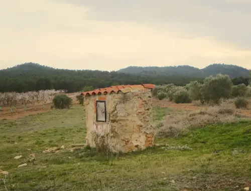 Pozos-El-Mullidar-Lietor