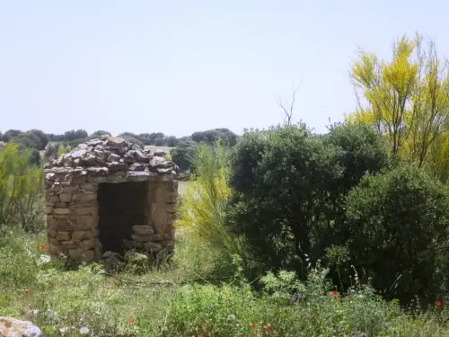 Pozos-La-Pasadilla-Villarrobledo