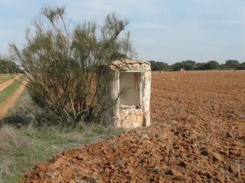 Pozos-Las-Beatas-Villarrobledo