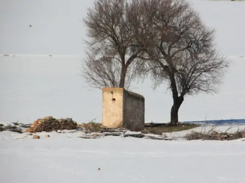 Pozos-Rubaldea-Albacete
