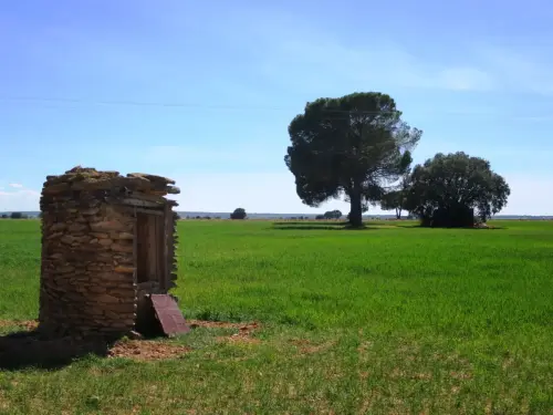 Pozos-Ventas-de-Alcolea-Villarrobledo