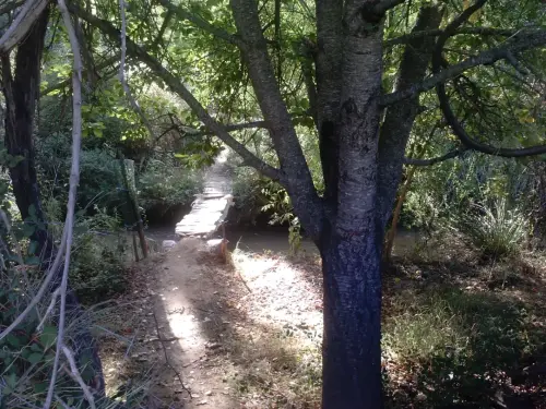 Pontones-El-Zarzalar-Nerpio3