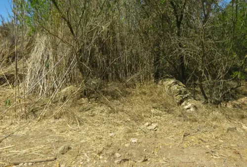 Pontones-Hellin-Casa-del-Pocico-de-la-Ra