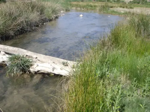 Pontones-Rio-Taibilla2