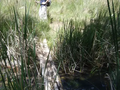 Pontones-Rio-Taibilla4