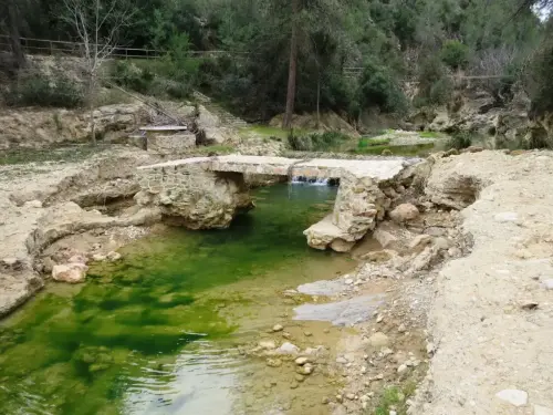 Pontones-Socovos-Pozo-Almenes