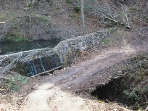 Pontones-Villapalacios-rio-de-la-Mesta