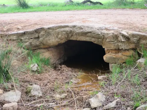 Pontones-Viveros-El-Ojuelo