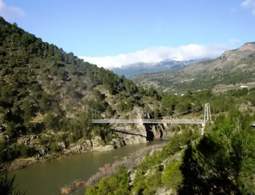 Puentes-Colgante-de-Llano-de-la-Torre-Yeste