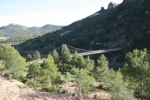 Puentes-Colgante-de-Llano-de-la-Torre-Yeste3