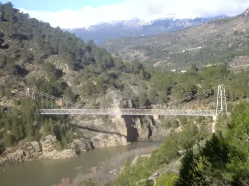 Puentes-Colgante-de-Llano-de-la-Torre-Yeste8