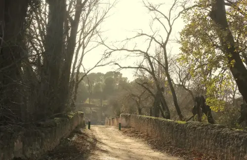 Puentes-El-Galapagar-Fuensanta