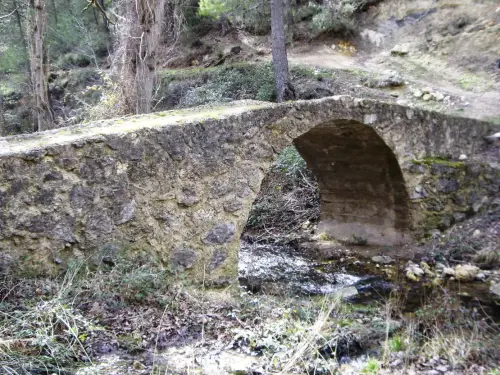Puentes-El-Romeral-Arguellite-Yeste4
