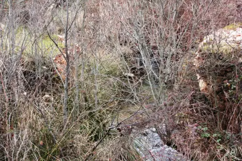 Puentes-Medieval-Alcaraz5