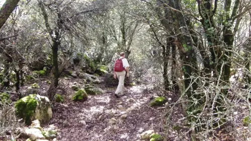 31 - Ángel Ñacle García